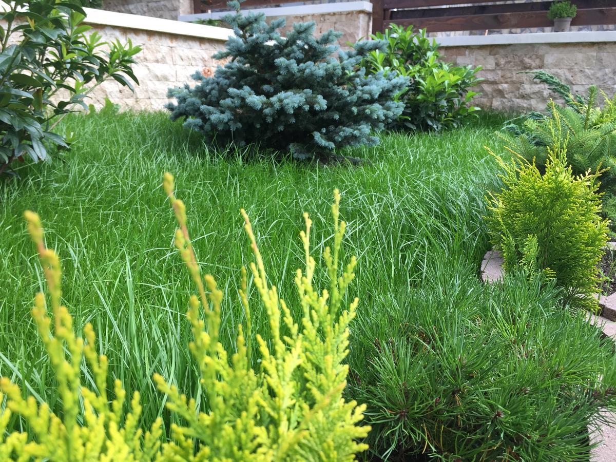 Garden Apart Предял Экстерьер фото