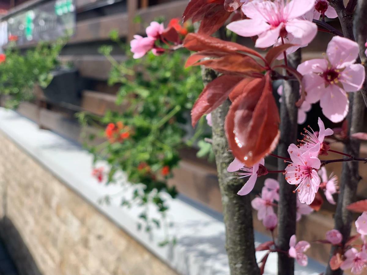 Garden Apart Предял Экстерьер фото